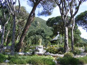 The Alameda Botanic Gardens - Gibraltar - 02