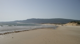 Bolonia Beach